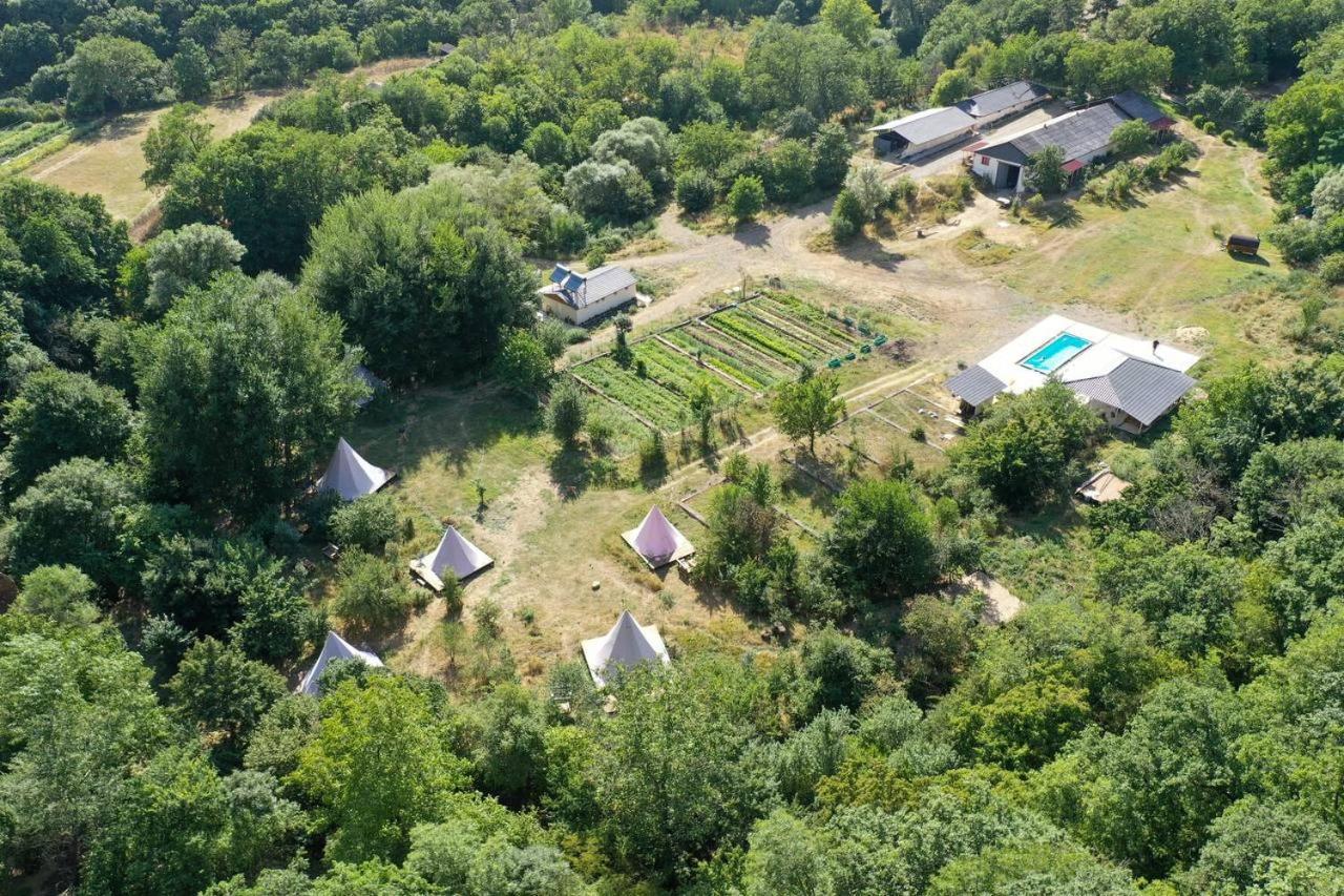 Gipsy Village Park Hotel Asureti Bagian luar foto
